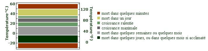 tableau parasite à cigare