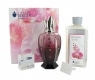 Coffret Lampe Berger Athena Brides