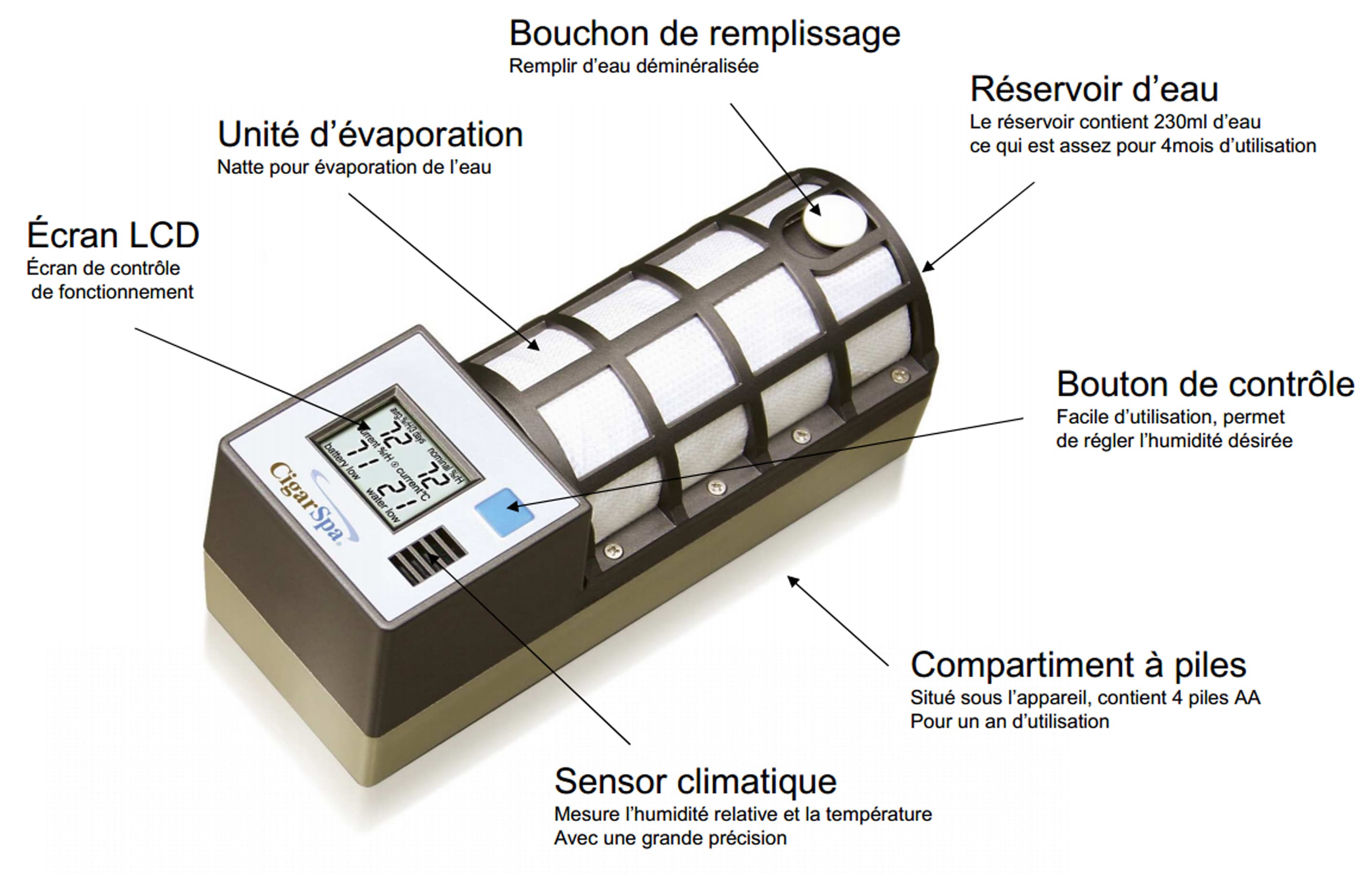 écran cigarspa